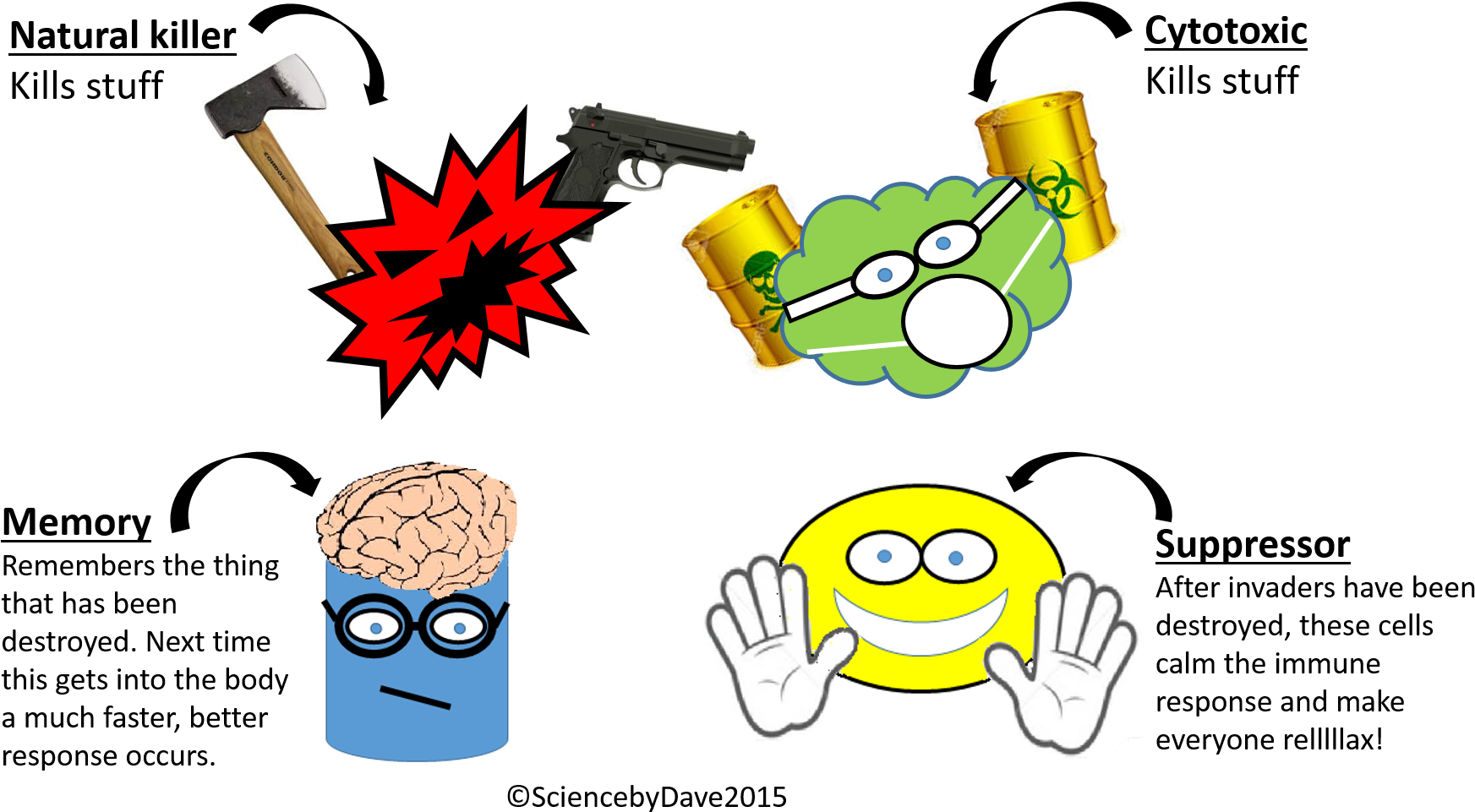 Most Important Of All The Adaptive Immune System Produces - Natural Killer Cell Cartoon - Transparent PNG Free Download