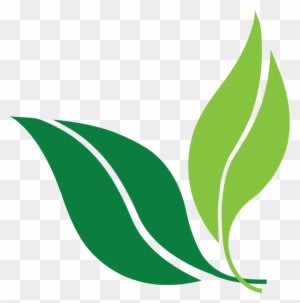 List-style - Wellness Perth Natural Medicine - Transparent PNG Free Download