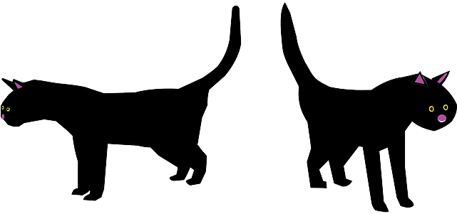 Pet Cat, Black, Bad, Face, Cartoon, Luck, Halloween, - Cat Mom Totes Handbags Purses, Cats, Adult Unisex, - Transparent PNG Free Download