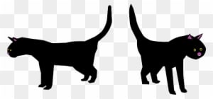 Pet Cat, Black, Bad, Face, Cartoon, Luck, Halloween, - Cat Mom Totes Handbags Purses, Cats, Adult Unisex, - Transparent PNG Free Download