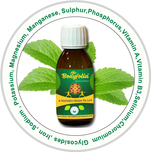 Welcome To Bodyfolia - Natural Foods - Transparent PNG Free Download