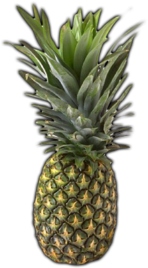 Pineapple Green Png - First The Spiritual Then The Natural Fruit - Transparent PNG Free Download