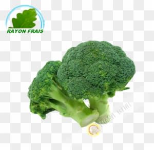 Naturally Treated Organic Broccoli Seeds (50 Seeds) - Transparent PNG Free Download