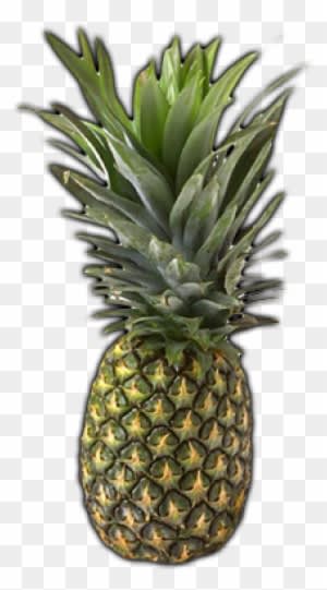 Pineapple Green Png - First The Spiritual Then The Natural Fruit - Transparent PNG Free Download