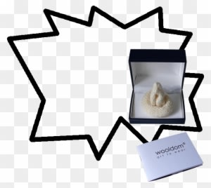 Yes You Found A Wonderful Present For You, Your Friend - Natural Product - Transparent PNG Free Download