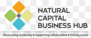 Natural Capital Business Hub Logo - Natural Capital Coalition - Transparent PNG Free Download
