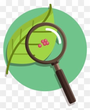 Nature Vs Nurture Debate Essay Articles To Pdf 12 Nature - Nature Vs Nurture Transparent - Transparent PNG Free Download