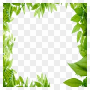 Green Leaves Frame - Nature Frame - Transparent PNG Free Download