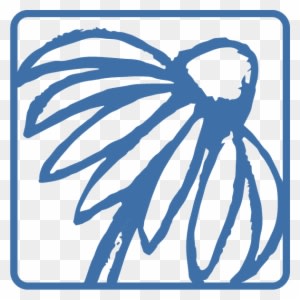 Yoga Class For Beginners - Bainbridge Natural Health - Transparent PNG Free Download