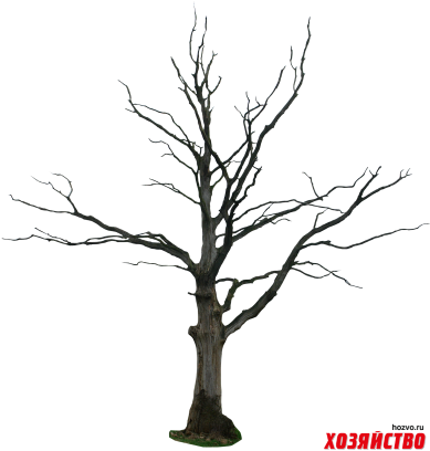 Beautiful Sceneries Of Nature At Night - Transparent PNG Free Download