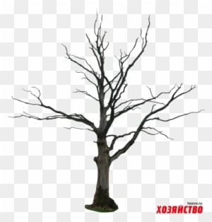 Beautiful Sceneries Of Nature At Night - Transparent PNG Free Download