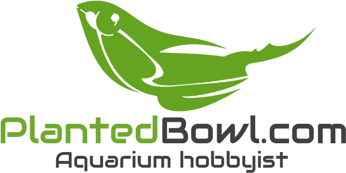 Com Planted Aquarium Blog Logo - Natural Foods - Transparent PNG Free Download