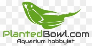 Com Planted Aquarium Blog Logo - Natural Foods - Transparent PNG Free Download