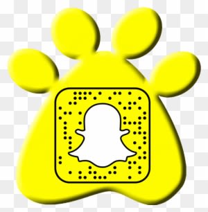 Call Today - Zico Coconut Water, Natural, 16.9 Ounce Pack - Transparent PNG Free Download