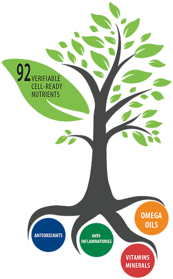 Nature Infographics - Transparent PNG Free Download