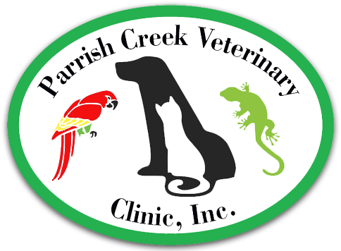 Parrish Creek Veterinary Clinic - Lizards Rock! Tote Bag, Adult Unisex, Natural - Transparent PNG Free Download