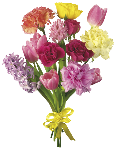 Flower Bouquet 2 By Dementiarunner - Cosmic Nature I Canvas Print - Small By Nikola Nupra - Transparent PNG Free Download