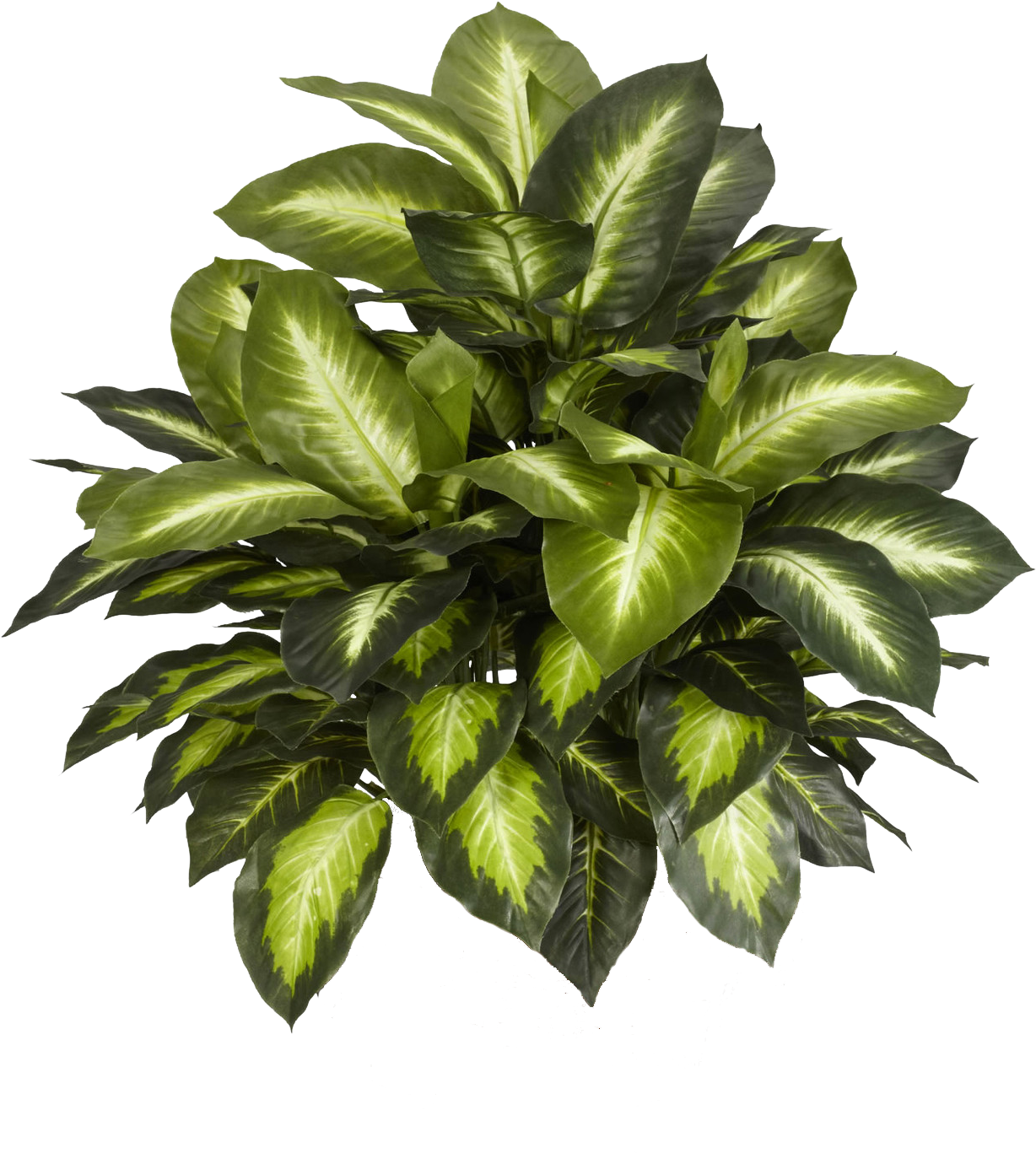 Leafs And Flowers Download Free - Nearly Natural Silk Plants - Transparent PNG Free Download