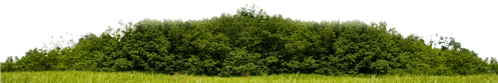 Skyline On Brickell - Nature Skyline Png - Transparent PNG Free Download