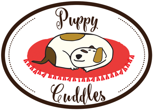 Purelation 100% All Natural Boar Bristle Body Bath - Transparent PNG Free Download