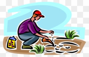 Gardener Planting Seeds Royalty Free Vector Clip Art - Ways Of Conserving Natural Resources - Transparent PNG Free Download