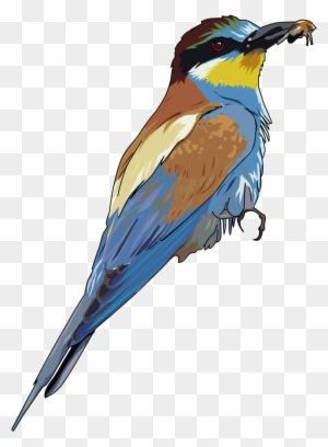 Songbird Clipart Bee - European Bee Eater Tote Bag, Adult Unisex, Natural - Transparent PNG Free Download