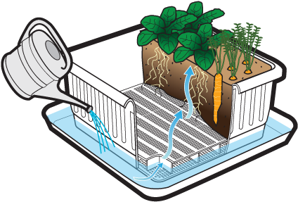 This Is A Healthy, Sustainable Way To Water Your Plants - Nature's Footprint Coconut Coir 650g - Pack Of 5. - Transparent PNG Free Download