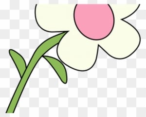 White Flower Clipart - Natural And Manmade Resources - Transparent PNG Free Download