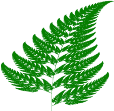 Fern - Fractal Geometry In Nature - Transparent PNG Free Download