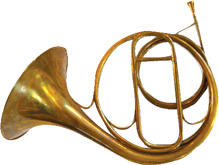 Anne Hunter, Contributing Editor, Is A Writer And Art - Natural Horn Baroque - Transparent PNG Free Download