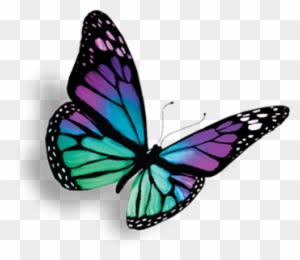 Hypnomorphose Ausbildung - Heal Breast Cancer Naturally 7 Essential Steps - Transparent PNG Free Download