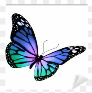 Turquoise Violet Butterfly, Isolated On White Background - Heal Breast Cancer Naturally - 7 Essential Steps - Transparent PNG Free Download