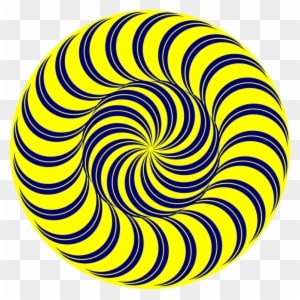 Op Art T-shirt Fall Skateboard - Spiral In Nature Clipart - Transparent PNG Free Download