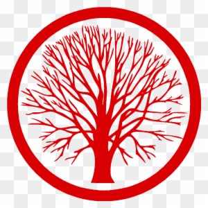 Solutions Landscapes & Designs - Quotations About Nature Healing - Transparent PNG Free Download