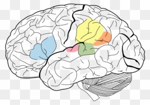 Imprints - Science Of Human Nature: A Psychology - Transparent PNG Free Download