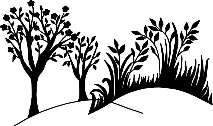 Nature Logo Png Transparent Background - Transparent PNG Free Download