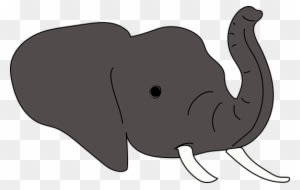 Elephant, Animals, Nature, Wild, Zoo - Nature Animals Elephant - Transparent PNG Free Download