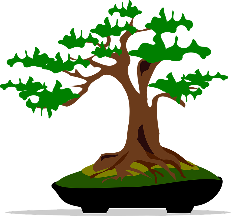 Bonsai Clip Art Flora Nature Plant Tree - Bonsai Clip Art - Transparent PNG Free Download