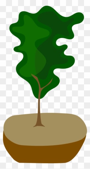Pot Tree, Bonsai, Nature, Pot - Bonsai - Transparent PNG Free Download