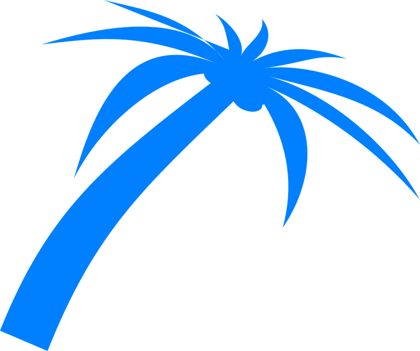 Palm Tree Fronds Tropical Nature Beach Plant - Blue Palm Tree Png - Transparent PNG Free Download
