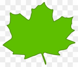 Maple Leaf Green Plant Nature Foliage Tree - Light Green Leaves Clipart - Transparent PNG Free Download