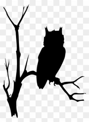 Owl Branches Tree Dead Eerie Watching Nature - Owl On Branch Silhouette - Transparent PNG Free Download