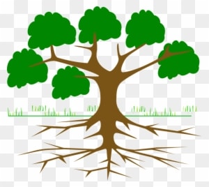 Tree Branches Root Eco Ecology Nature Plant - Environmental Movements In India - Transparent PNG Free Download