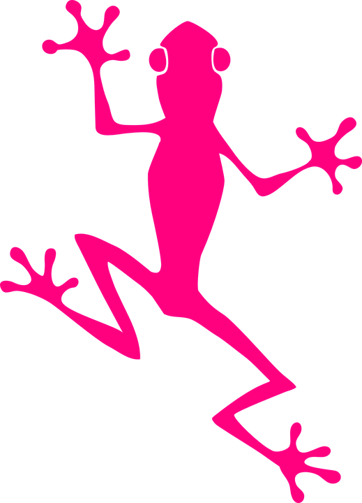 Frog Climb Pink Amphibian Animal Nature Wildlife - Frog Graphic - Transparent PNG Free Download