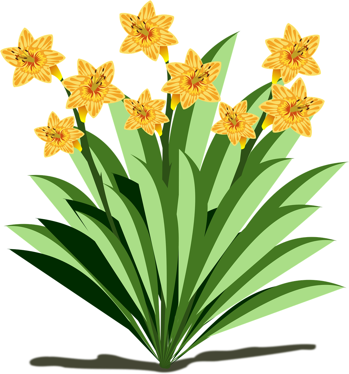 Clip Art Flor Flora Flower Nature Plant Cl - Fun Facts About Plants - Transparent PNG Free Download