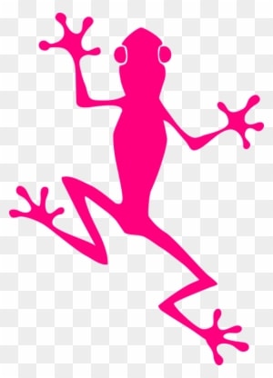 Frog Climb Pink Amphibian Animal Nature Wildlife - Frog Graphic - Transparent PNG Free Download
