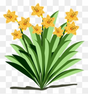 Clip Art Flor Flora Flower Nature Plant Cl - Fun Facts About Plants - Transparent PNG Free Download