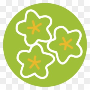 Properties Natural Sweetener - Coconut - Transparent PNG Free Download