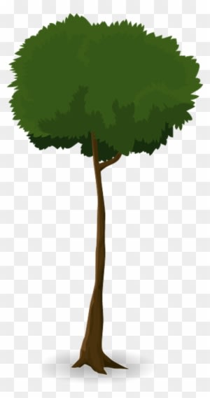 Tree Trunk Nature Leaves Branches Graphic Organic - ต้นไม้ สูง Png - Transparent PNG Free Download