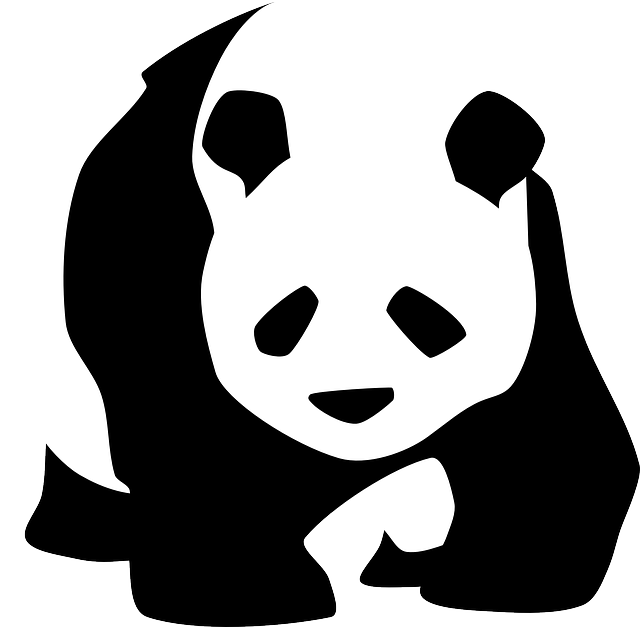 Endangered Species On The Rise The Impact Of Humans - Panda Black And White - Transparent PNG Free Download